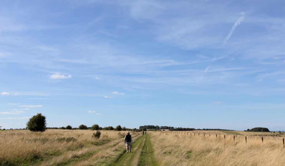 Reading Weather Signs in the British Countryside