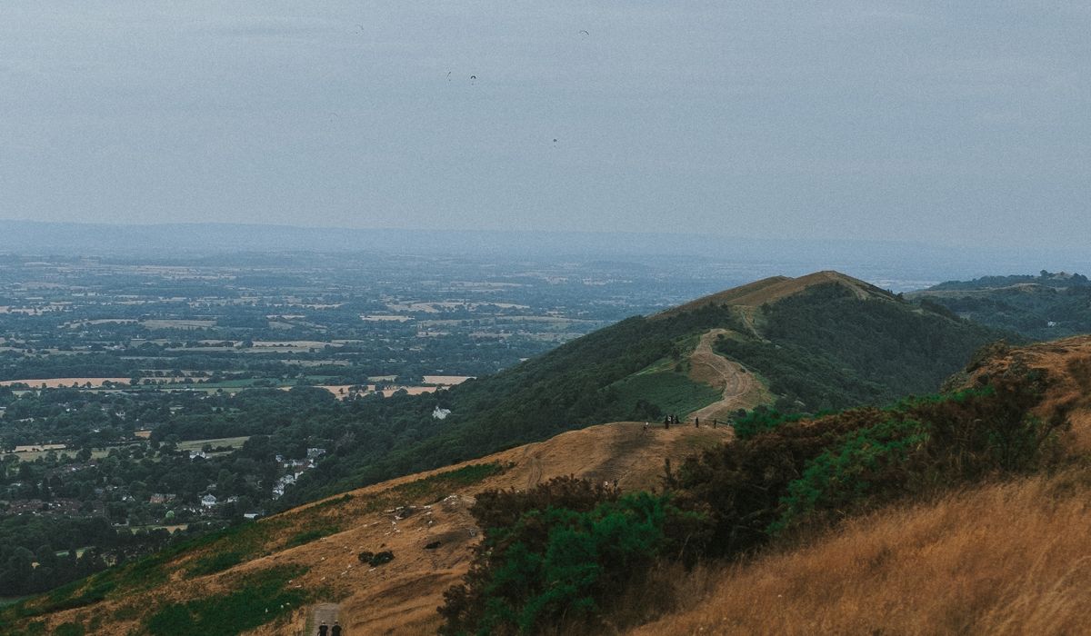 The Benefits of Walking in Green Spaces